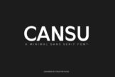 Product image of Cansu Sans Serif Font Family