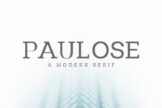 Product image of Paulose Modern Serif Font Family