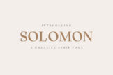 Product image of Solomon Serif Font Family