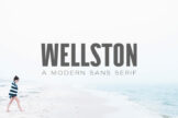 Product image of Wellston Modern Sans Serif Font