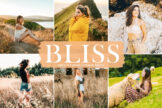 Product image of Bliss Mobile & Desktop Lightroom Presets