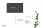 Product image of Simple Business Card Template
