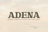 Product image of Adena Slab Serif Font Family