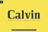 Product image of Calvin Slab Serif Font Family