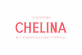Product image of Chelina Slab Serif Font Family