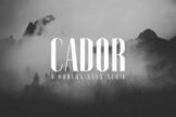 Product image of Cador Sans Serif Font Family Pack