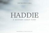 Product image of Haddie Modern Serif Font