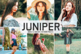 Product image of Juniper Mobile & Desktop Lightroom Presets