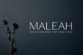 Product image of Maleah Sans Serif 4 Font Family Pack