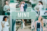 Product image of Mint Mobile & Desktop Lightroom Presets
