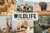 Product image of Wildlife Mobile & Desktop Lightroom Presets