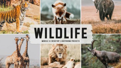 Wildlife Mobile & Desktop Lightroom Presets