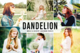 Product image of Dandelion Mobile & Desktop Lightroom Presets