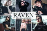 Product image of Raven Mobile & Desktop Lightroom Presets