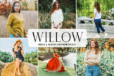 Product image of Willow Mobile & Desktop Lightroom Presets