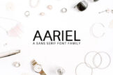 Product image of Aariel Sans Serif Font Family Pack