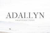 Product image of Adallyn Serif Font Family
