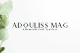 Product image of Adouliss Mag Serif 9 Font Family