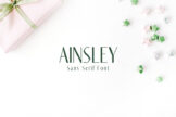 Product image of Ainsley Sans Serif Font