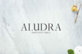 Product image of Aludra Serif Typeface