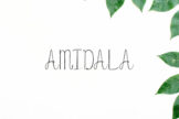 Last preview image of Amidala Script Font