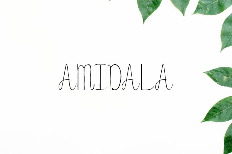 Preview image of Amidala Script Font