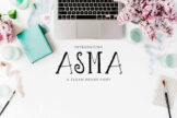 Product image of Asma Brush Font