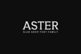 Product image of Aster Slab Serif Font Family