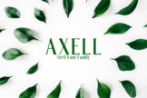 Product image of Axell Serif Font Family