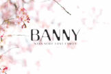 Product image of Banny Sans Serif Font Family