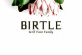 Product image of Birtle Serif Font Family