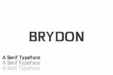 Product image of Brydon Serif Typeface