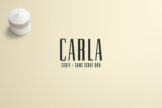Product image of Carla Serif and Sans Duo Font Family Pack
