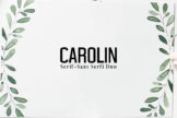 Product image of Carolin Duo Font Family Pack