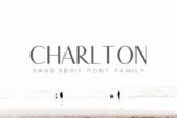 Product image of Charlton Sans Serif Font Family