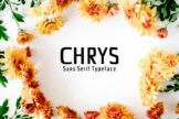 Last preview image of Chrys Sans Serif Font Family