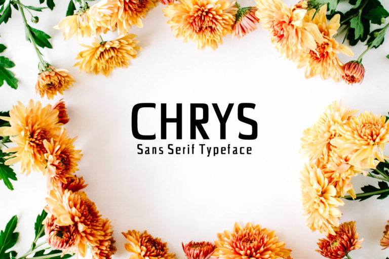 Preview image of Chrys Sans Serif Font Family