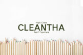 Product image of Cleantha Serif Typeface