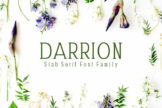 Product image of Darrion Slab Serif Typeface
