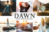 Product image of Dawn Mobile & Desktop Lightroom Presets