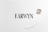 Product image of Earwyn Serif Typeface