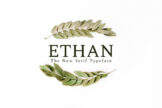 Product image of Ethan Serif Font Family Pack