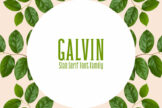 Product image of Galvin Slab Serif Font Family Pack