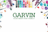 Product image of Garvin Slab Serif Font Family