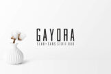 Product image of Gayora Slab Serif Duo Font