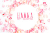 Product image of Haana Slab Serif Duo Font