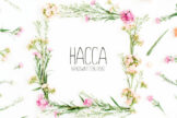 Product image of Hacca Handwritten Sans Serif Font