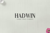 Product image of Hadwin A Serif Font Family Pack