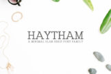 Product image of Haytham Slab Serif Fonts Pack