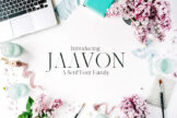 Product image of Jaavon Serif Font Family